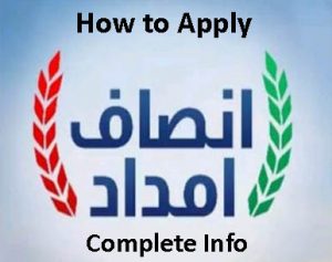 How to apply for the Insaf Imdad Package (Complete Guide) in English and Urdu.